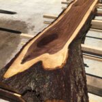 Black Walnut Wood Slab: WN-10-03