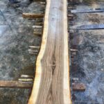 Black Walnut Wood Slab: WN-13-04