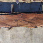 Black Walnut Wood Slab WN-01-03
