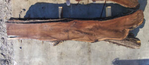 Black Walnut Wood Slab WN-01-03