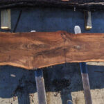 Black Walnut Wood Slab WN-01-04